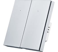 Двухкнопочный умный выключатель Zigbee Roximo платиновый, SZBTN01-2P