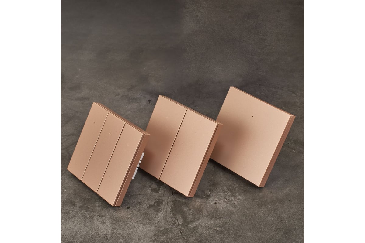 Двухкнопочный умный выключатель Zigbee Roximo бронзовый, SZBTN01-2C ...