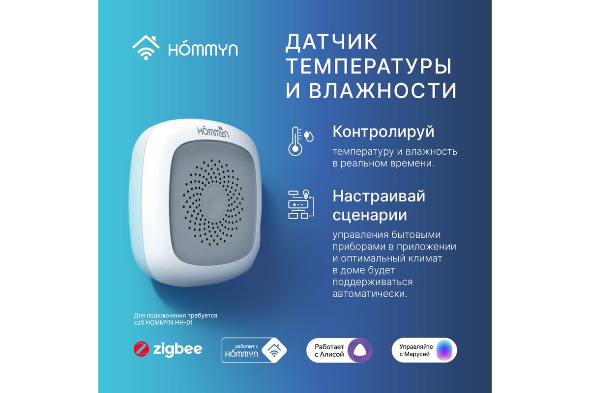 Сенсор температуры и влажности HOMMYN TS-20-Z НС-1115595 - выгодная цена,  отзывы, характеристики, фото - купить в Москве и РФ