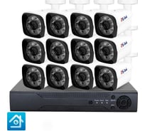 Комплект видеонаблюдения PS-link ahd 2мп kit-c212hd 12 уличных камер 3946