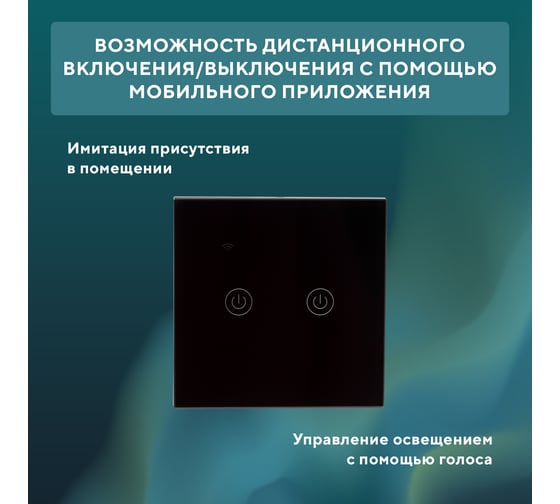 Умный двухкнопочный Wi-Fi выключатель SECURIC черный SEC-HV-802B2