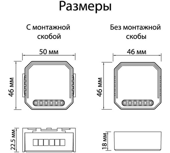Двухканальное Wi-Fi реле-выключатель DENKIRS RL1000 RL1002-SM