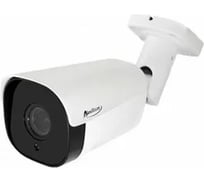 Камера AKSILIUM IP-203 VP (2.8-12) 2 Termo AI УТ000095771