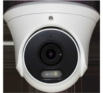Купольная, внутренняя IP видеокамера Falcon Eye FE-IPC-DP2E-30P 1080P с функцией «День/Ночь» 00-00117020