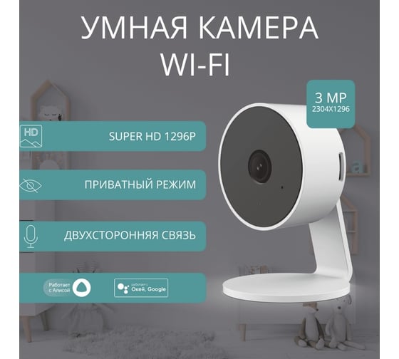 Умная камера Roximo RHC106-WL3