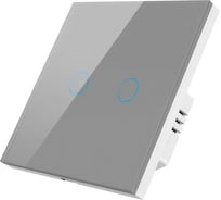 Умный Zigbee выключатель Roximo сенсорный, двухкнопочный, серый SZSEN01-2S