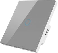 Умный Zigbee выключатель Roximo сенсорный, однокнопочный, серый SZSEN01-1S