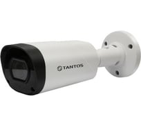 Уличная цилиндрическая видеокамера Tantos TSc-P1080pUVCv 00-00156691