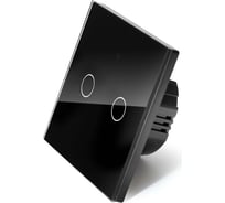 Сенсорный выключатель двухклавишный ONVIZ черный Tuya2черный
