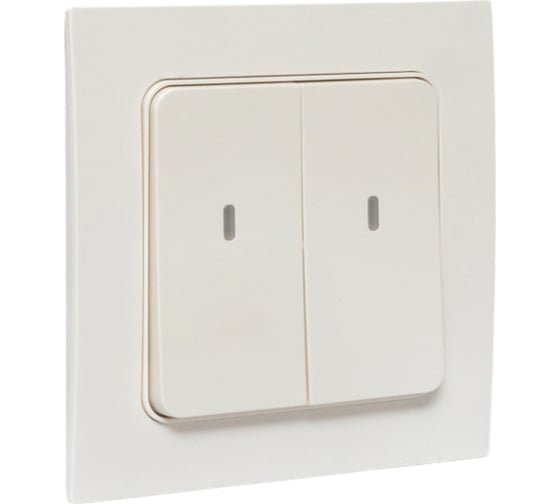 Умный беспроводной выключатель EKF Стокгольм 2-клавишный, белый, Zigbee Сonnect RCV-ST2-WS-ZB