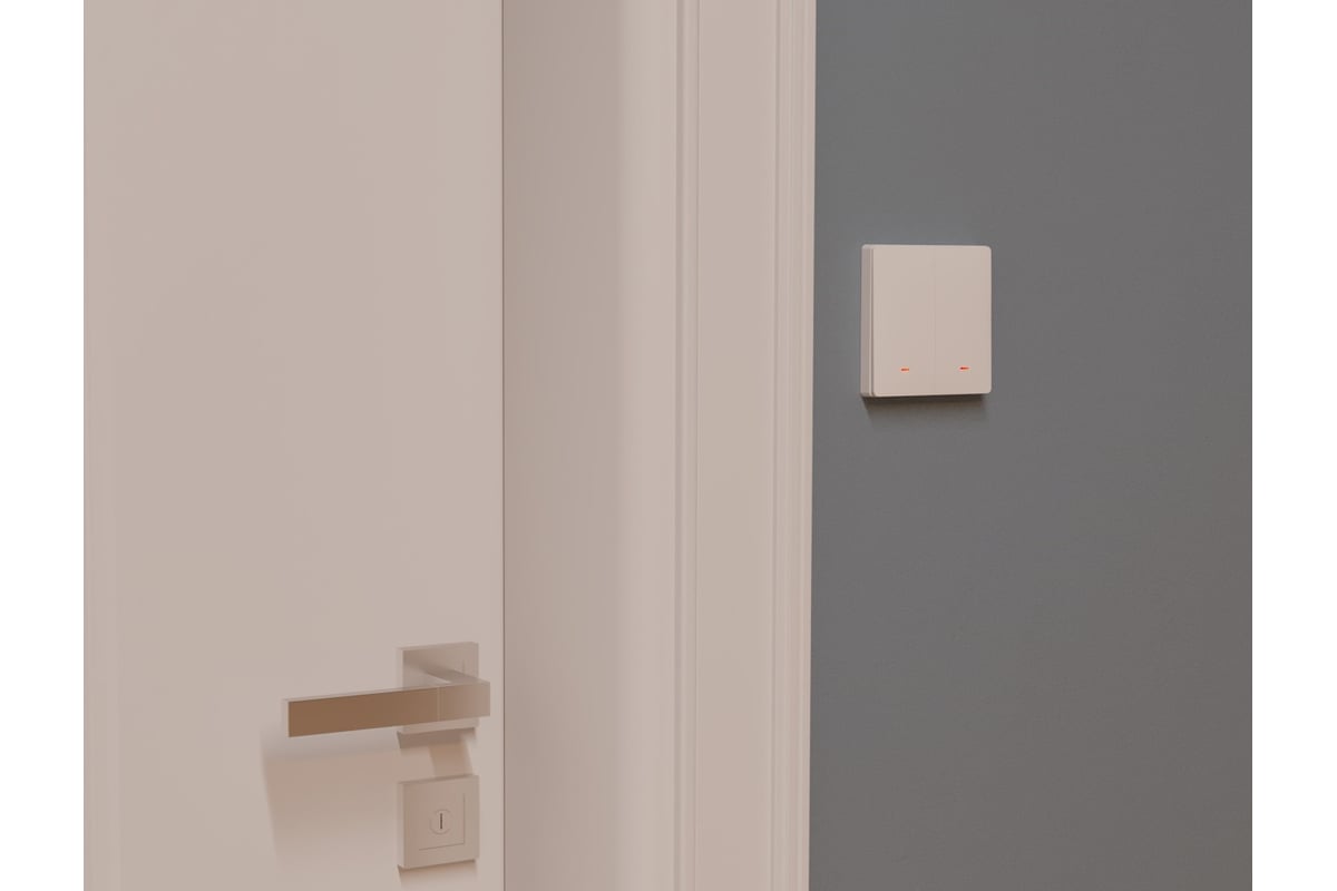 Умные клавиши ELARI Smart Switch Double SWT-ZB/21 - выгодная цена ...