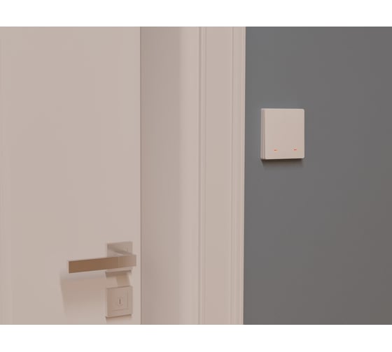 Умные клавиши ELARI Smart Switch Double SWT-ZB/21