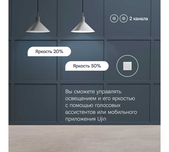 Умный выключатель-диммер Ujin WiFi двухклавишный, голосовое управление D-10000-0