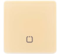 Радиовыключатель HiTE PRO SN-R1 бежевый, закругленные углы HP-SN-R1-beige
