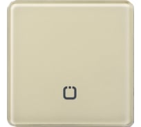 Радиовыключатель HiTE PRO SN-R1 Светло-бежевый, закругленные углы HP-SN-R1-light-beige