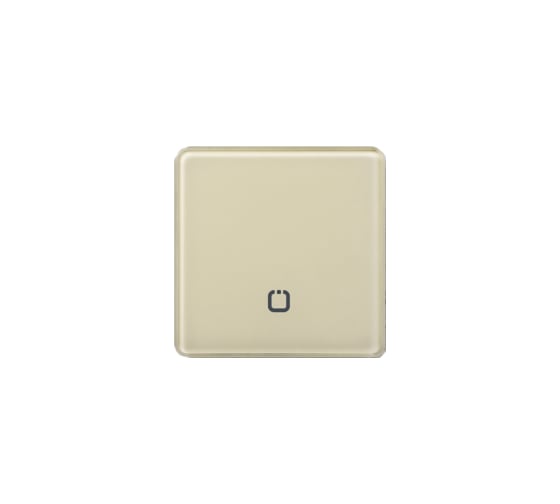 Радиовыключатель HiTE PRO SN-R1 Светло-бежевый, закругленные углы HP-SN-R1-light-beige 1