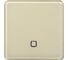 Радиовыключатель HiTE PRO SN-R1 Светло-бежевый, закругленные углы HP-SN-R1-light-beige 1