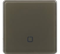 Радиовыключатель HiTE PRO SN-R1 Светло-коричневый, закругленные углы HP-SN-R1-light-brown