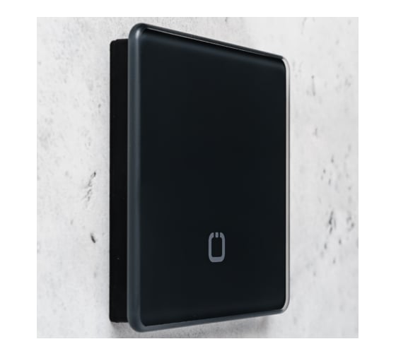 Радиовыключатель HiTE PRO SN-R1 Графит, закругленные углы HP-SN-R1-grafit