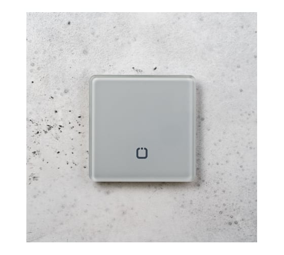 Радиовыключатель HiTE PRO SN-R1 Светло-серый, закругленные углы HP-SN-R1-light-gray