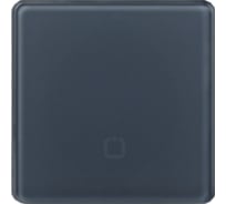 Радиовыключатель HiTE PRO SN-R1 Серо-голубой, закругленные углы HP-SN-R1-gray-blue