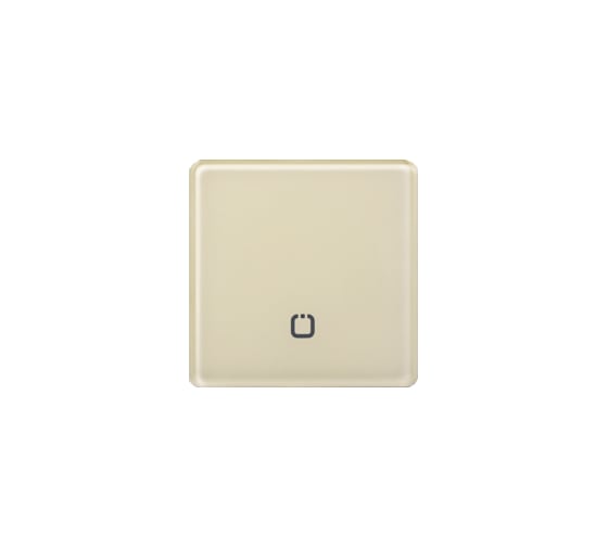 Радиовыключатель HiTE PRO SN-R1 Слоновая кость, закругленные углы HP-SN-R1-ivory 1