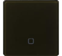 Радиовыключатель HiTE PRO SN-R1 Темно-коричневый, закругленные углы HP-SN-R1-dark-brown