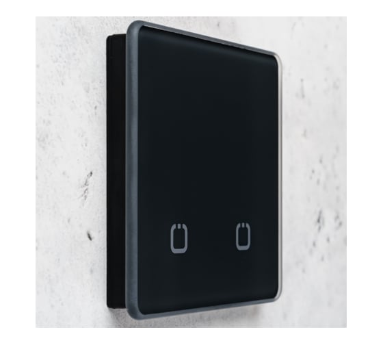 Радиовыключатель HiTE PRO SN-R2 Графит, закругленные углы HP-SN-R2-grafit