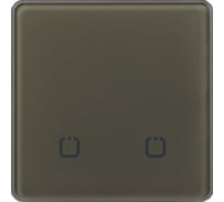 Радиовыключатель HiTE PRO SN-R2 Светло-коричневый, закругленные углы HP-SN-R2-light-brown