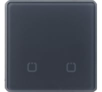 Радиовыключатель HiTE PRO SN-R2 Серый, закругленные углы HP-SN-R2-gray