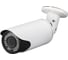 Видеокамера IP Рубин DVI-S125 POE LV v2.0 OEM (1/2.8” SC223A) РЭ-КАМ125Ц 1