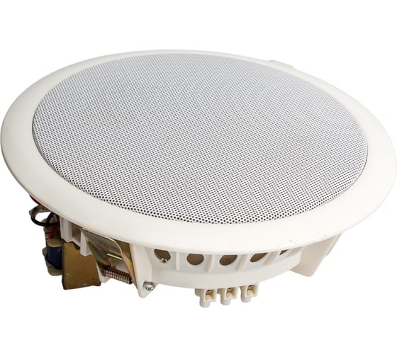 Потолочный громкоговоритель Tantos TSo-PW10a 00-00026419