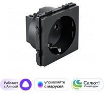 Умная розетка Sibling в рамку черная (47x47мм) 00-01018382