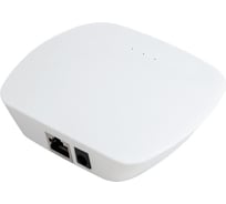 WiFi шлюз Easydim RF-GW W 00-00003131