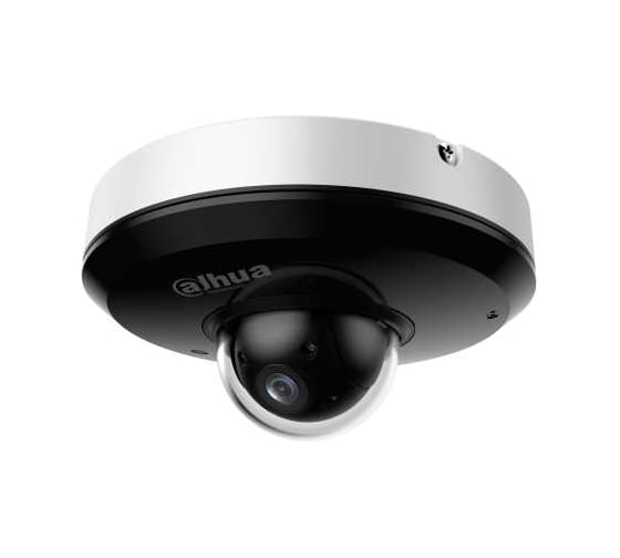 Видеокамера Dahua Мини-PTZ IP DH-SD1A404DB-GNY 1