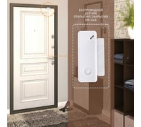 Беспроводной датчик открытия двери ИПРо DM-04B 00-00011566 870