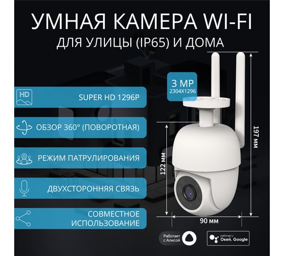Умная камера уличная поворотная Roximo c Алисой RHC202