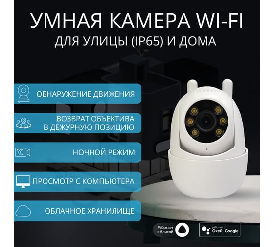 Умная камера уличная поворотная Roximo c Алисой RHC202