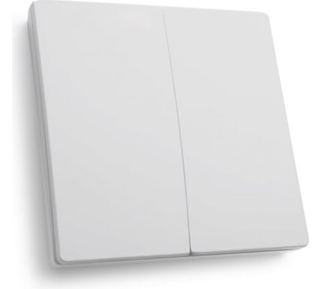 Двухклавишный выключатель дистанционного управления FERON 250V 500W TM82 41129