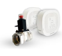 Комплект сигнализаторов загазованности Пульсар CO-CH энергозависимый (СО - управляющее устройство); клапан электромагнитный газовый Ду20, источник питания, соединительный кабель в комплекте Н00045111