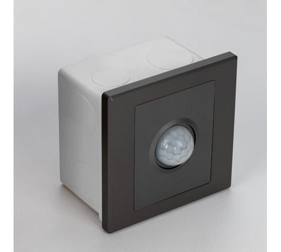 Встраиваемое реле Citilux Skally с датчиком движени Графит CLR005KS1