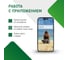 Видеоглазок Novihome FOCUS 4 WIFI KIT LITE v. - Full HD c переадресацией вызова на смартфон и PIR датчиком движения; Слот microSD до 128 Гб; microUSB Type C; АКБ 5000 мАч 4374 5