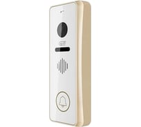 Вызывная панель CTV CTV-D3001-champagne