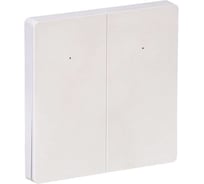 SMART-выключатель 2-клавишный ONI ITEQ 16А, с нейтралью, WIFI+BLE, белый IT-SM2NWBI-K01