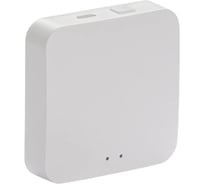 SMART-HUB ONI ITEQ WiFi+ZigBee, USB, белый IT-HWZ-K01