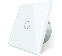 Одноклавишный сенсорный выключатель Bingoelec W1-D101, Диммер WiFi белый 041