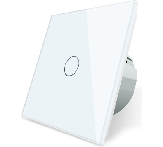 Одноклавишный сенсорный выключатель Bingoelec W1-101 WiFi белый 059
