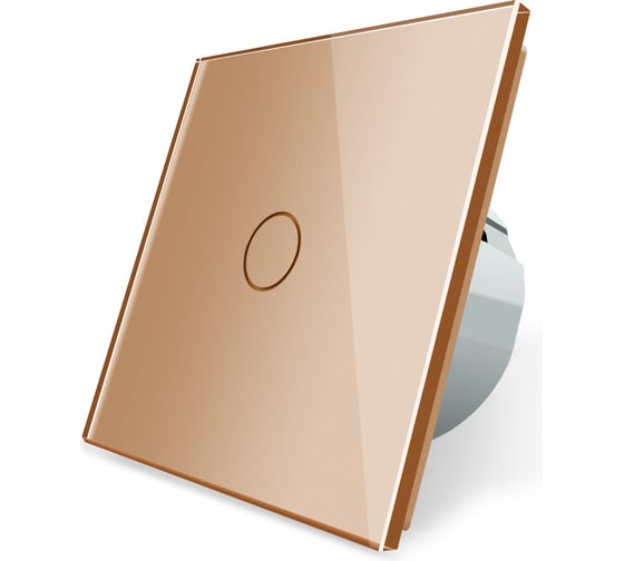 Одноклавишный сенсорный выключатель Bingoelec W1-D101, Диммер WiFi золотой 040