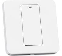 Умный выключатель Meross Smart WiFi Wall Switch-Physical Button MSS510HK/EU/