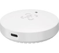 Умный Wi-Fi датчик присутствия и освещенности Roximo с Алисой SWHPS08